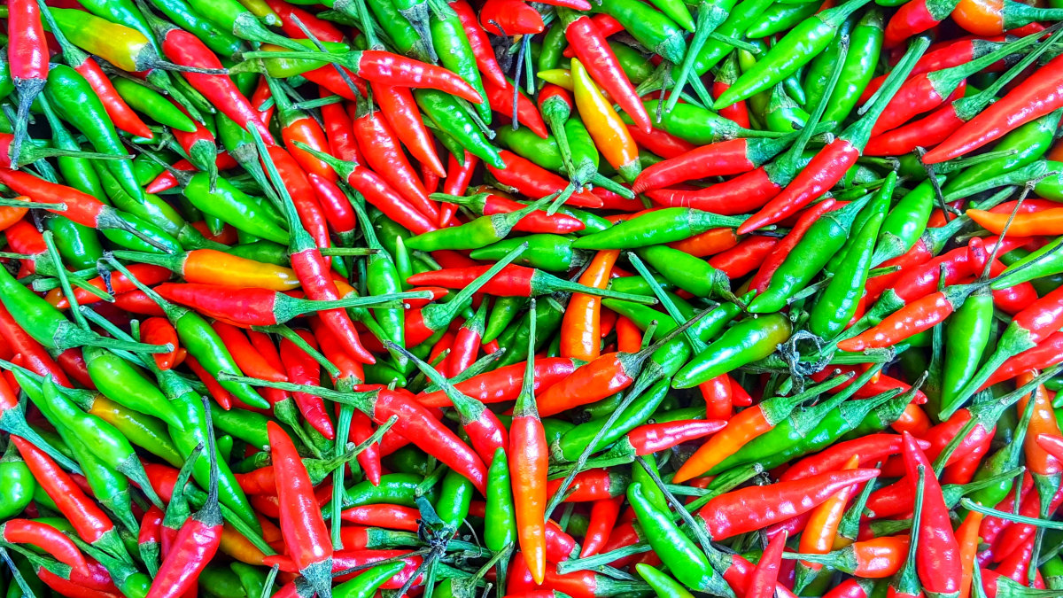 Rode pepers voor sambal